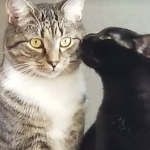 Jonesy & Scarlett